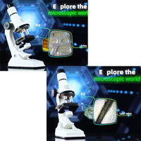*Coffret Microscope Scientifique pour Enfants – 200x à 1200x avec Accessoires (42x29x9,6 cm)*
